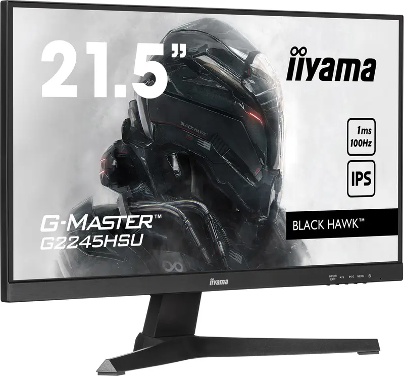 22iW LCD Full HD Gaming IPS 100Hz