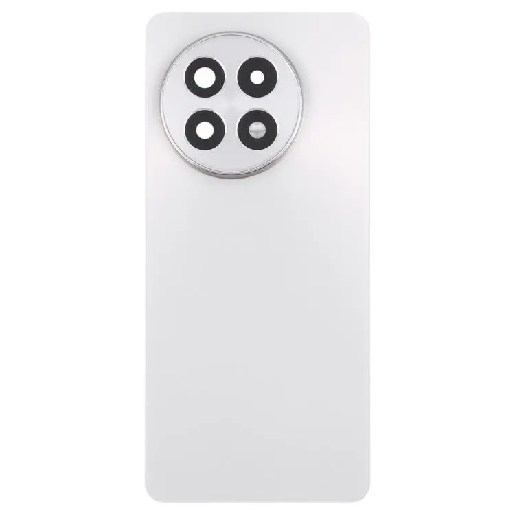 Batterijachterklep met cameralensframe voor OnePlus 13R (titanium)