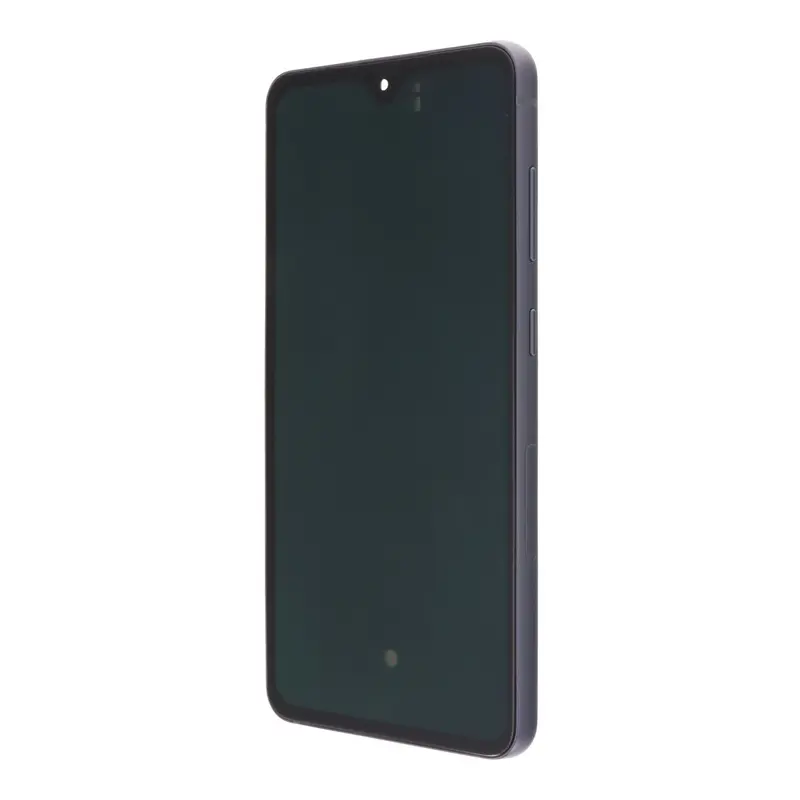 Display module Samsung Galaxy S21 FE 5G (OLED)