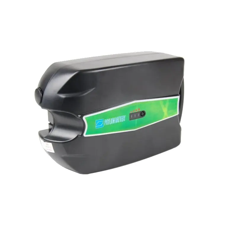 Phylion XH259-10J Fietsaccu 24V 12Ah LittleFrog